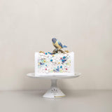 TANIA MULTICOLORED lolaandlo